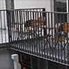 ringhiera con tondini in acciaio sulla terrazza